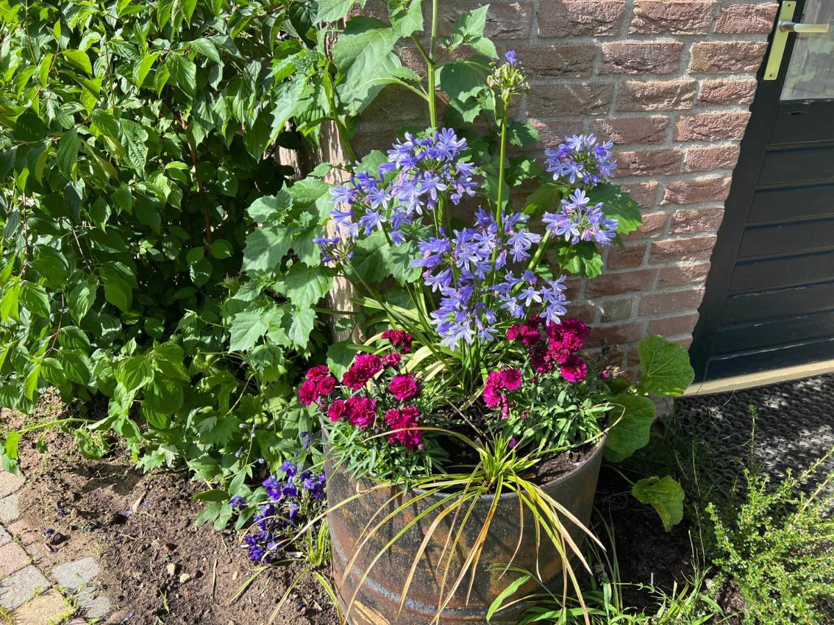 Supergezellig Vakantiehuis Met Hele Grote Tuin Bij Nijmegen Ewijk Exterior foto
